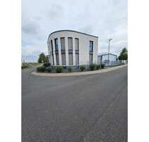 Büro in Bornheim 242,00 € 11.5 m²