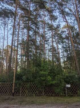 Foto - Grundstück in Borkwalde 53.000,00 € 1002 m²