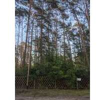 Grundstück in Borkwalde 53.000,00 € 1002 m²