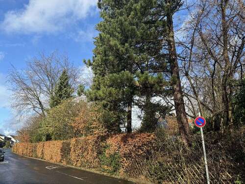 Foto - Grundstück zu verkaufen in Mettmann-Mettmann - Metzkausen 890.000,00 € 558 m²