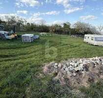 Grundstück zu verkaufen in Güglingen 230.000,00 € 830 m²