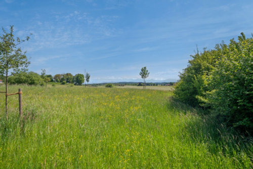 Foto - Grundstück zu verkaufen in Pähl 890.000,00 € 930 m²