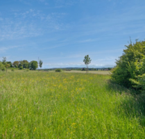 Grundstück zu verkaufen in Pähl 900.000,00 € 930 m²