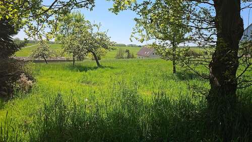 Foto - Grundstück zu verkaufen in Busenhausen 39.500,00 € 726 m²