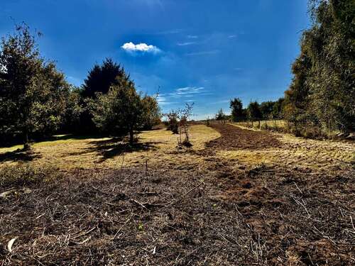 Foto - Grundstück zu verkaufen in Bargfeld-Stegen 360.000,00 € 1395 m²