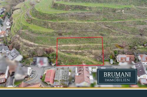Foto - Grundstück zu verkaufen in Vogtsburg 347.000,00 € 1000 m²