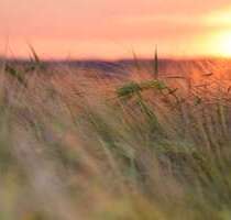 Wohnung zum Mieten in Schwedt 370,00 € 59.44 m²