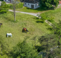 Spezialgewerbe in Finning 5.500.000,00 €