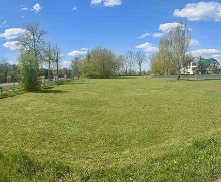 Foto - Grundstück zu verkaufen in Amalienfelde 188.000,00 € 800 m²