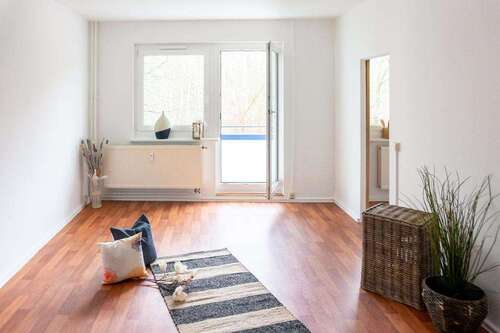 Foto - Wohnung zum Mieten in Chemnitz 229,00 € 36.09 m²