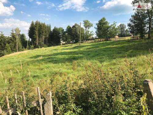 Foto - Grundstück zu verkaufen in Mildenau OT Arnsfeld 62.300,00 € 3246 m²
