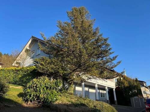 Foto - Haus zum Kaufen in Brachttal 449.000,00 € 220 m²