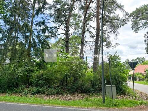 Foto - Grundstück zu verkaufen in Senzig 375.000,00 € 1124 m²