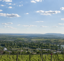 Grundstück zu verkaufen in Rüdesheim am Rhein 828.000,00 € 600 m²