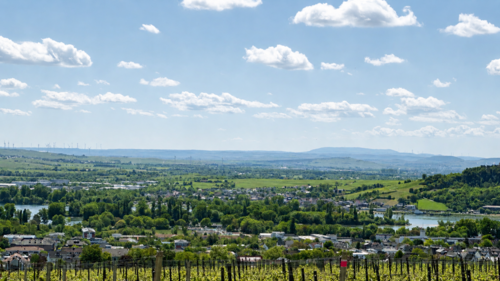 Foto - Grundstück zu verkaufen in Rüdesheim am Rhein 828.000,00 € 600 m²