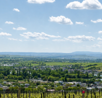 Grundstück zu verkaufen in Rüdesheim am Rhein 828.000,00 € 600 m²