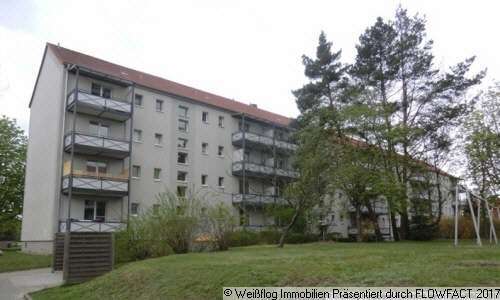 Foto - Wohnung zum Mieten in Riesa 320,00 € 51.35 m²