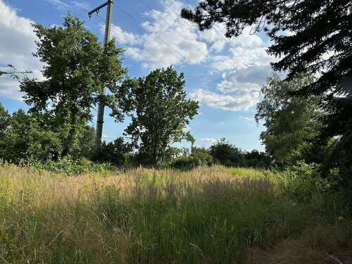 Foto - Grundstück zu verkaufen in Blankenfelde-Mahlow 269.000,00 € 1464 m²