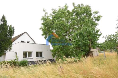 Foto - Haus zum Kaufen in Fünfeichen 300.000,00 € 211 m²