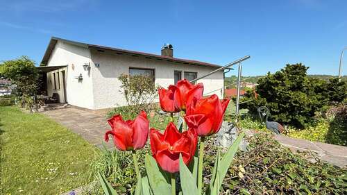 Foto - Haus zum Kaufen in Laaber 398.000,00 € 142.64 m²