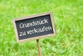 Foto - Grundstück zu verkaufen in Maxdorf 649.000,00 € 1368 m²