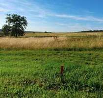 Grundstück zu verkaufen in Weidenbach 90.446,00 € 789 m²