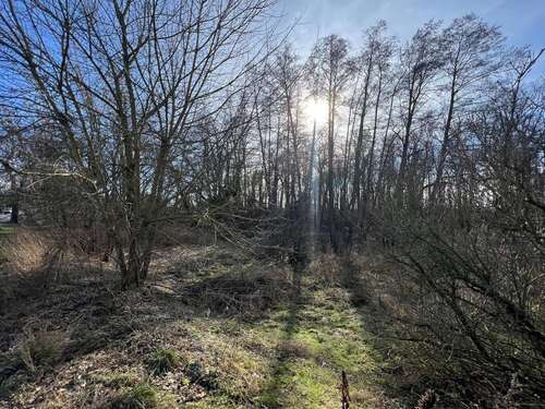 Foto - Grundstück zu verkaufen in Mühlenbecker Land 260.000,00 € 1140 m²