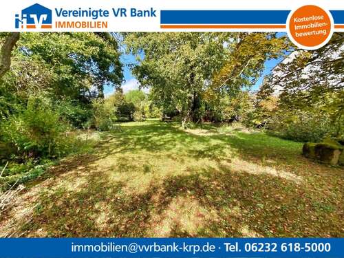 Foto - Grundstück zu verkaufen in Dirmstein 220.000,00 € 661 m²