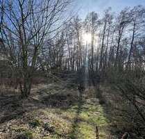 Grundstück zu verkaufen in Mühlenbecker Land 280.000,00 € 1260 m²