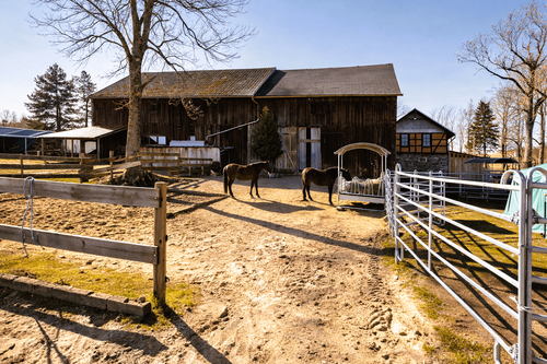 Foto - Haus zum Kaufen in Rosenthal am Rennsteig 790.000,00 € 300 m²
