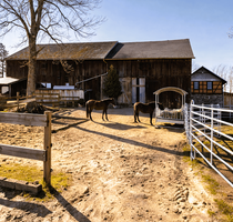 Haus zum Kaufen in Rosenthal am Rennsteig 790.000,00 € 300 m²