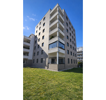 Wohnung zum Kaufen in Dresden 495.000,00 € 113 m²