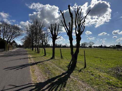 Foto - Grundstück in Jerchel 80.000,00 € 5000 m²