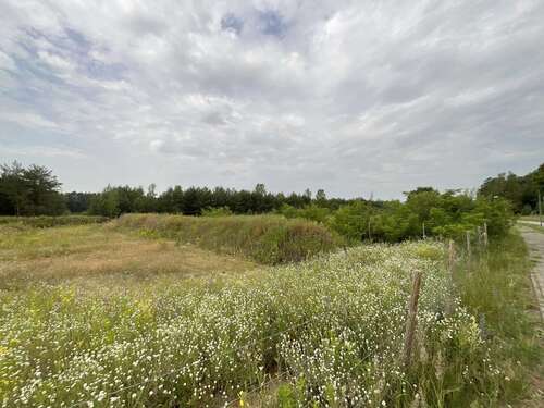 Foto - Grundstück in FürstenwaldeSpree 139.000,00 € 1000 m²