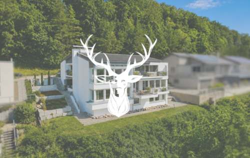 Foto - Wohnung zum Kaufen in Waldshut-Tiengen 715.000,00 € 224 m²