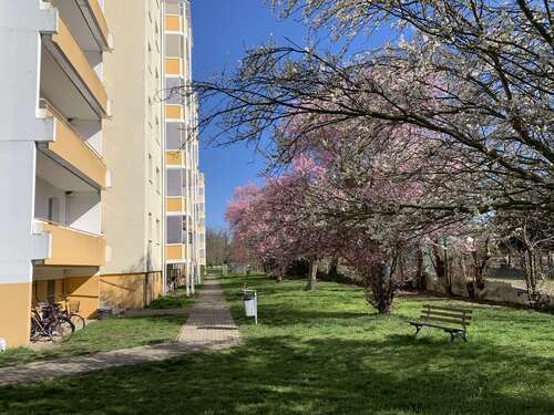 Foto - Wohnung zum Mieten in Calbe (Saale) 220,00 € 32.8 m²