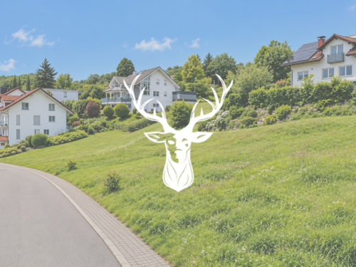 Foto - Grundstück zu verkaufen in Waldshut-Tiengen 350.000,00 € 623 m²