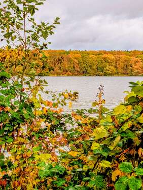 Foto - Haus zum Kaufen in Potsdam 999.980,00 € 153 m²