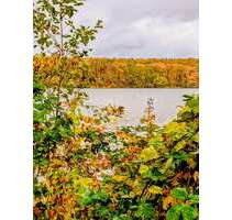 Haus zum Kaufen in Potsdam 999.980,00 € 153 m²