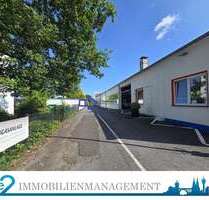 Halle in Solingen 2.900,00 € 683.5 m²