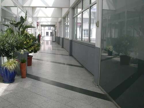 Foto - Einzelhandel in Ransbach-Baumbach 870,00 € 145 m²