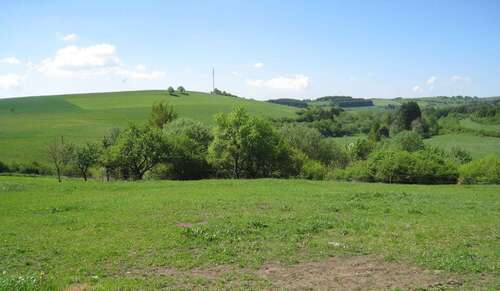 Foto - Grundstück zu verkaufen in Mehren 77.500,00 € 1603 m²