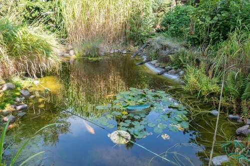 Foto - Grundstück zu verkaufen in Panketal 450.000,00 € 1238 m²