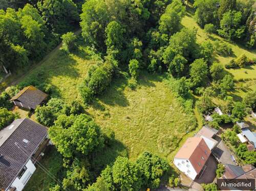 Foto - Grundstück zu verkaufen in Bann 85.000,00 € 2000 m²