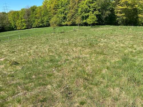 Foto - Grundstück in Remscheid 1.200,00 € 15500 m²