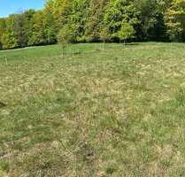 Grundstück in Remscheid 1.200,00 € 15500 m²