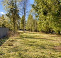 Grundstück zu verkaufen in Buchholz 239.000,00 € 1281 m²