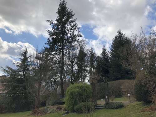 Foto - Grundstück in Altfraunhofen 98.750,00 € 400 m²