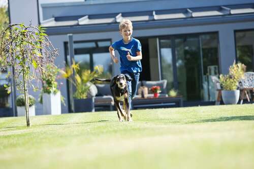 Foto - Haus zum Kaufen in Bad Freienwalde (Oder) 748.328,00 € 146 m²