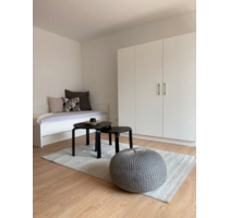 Wohnung zum Mieten in Offenbach 700,00 € 21 m²